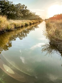 Delightful Top Cabin with Amazing Views from the Deck in Louisiana - Cypremort Point, Louisiana - glamping.directory