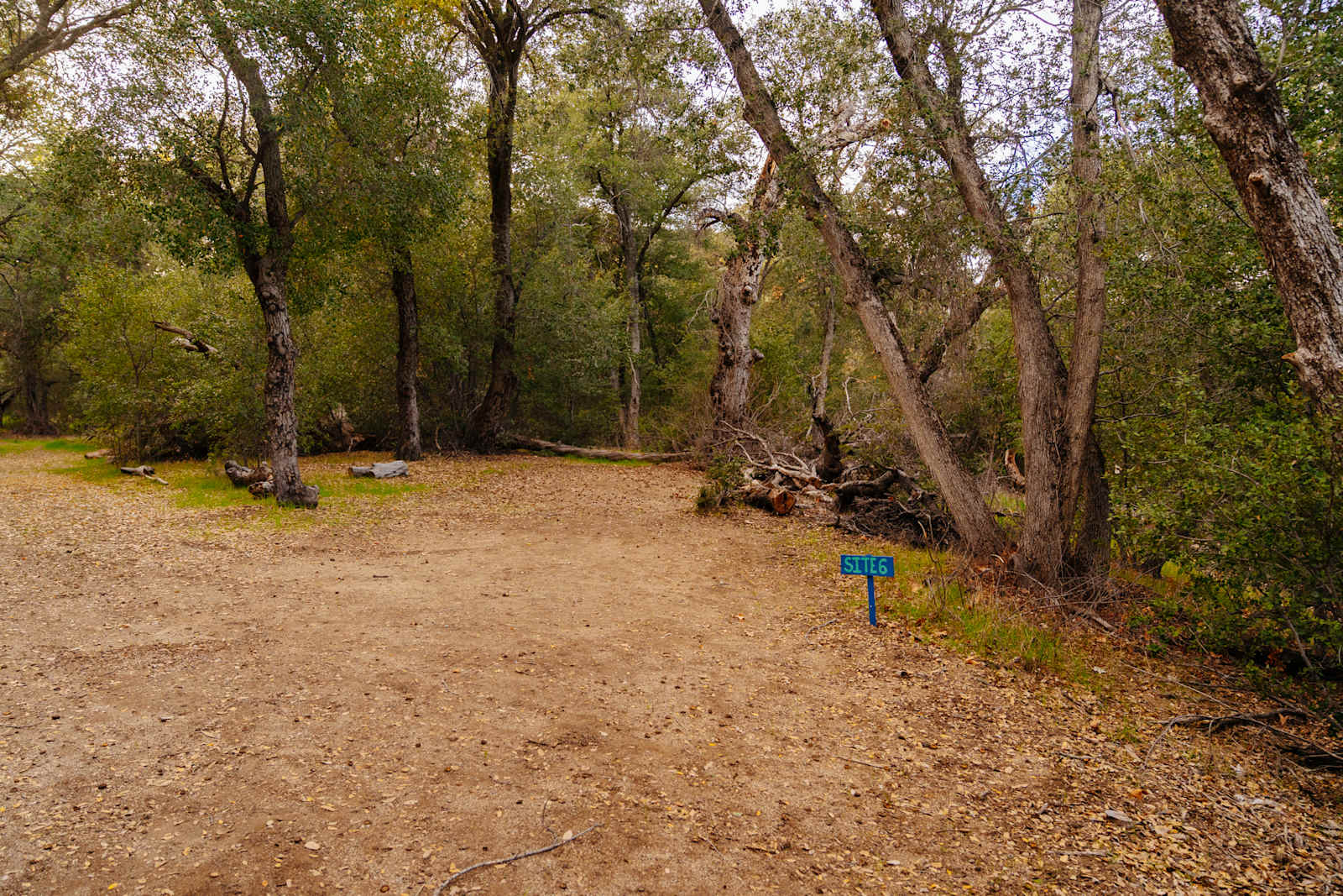 Loomerland Ranch and Retreat - Warner Springs, California - glamping.directory