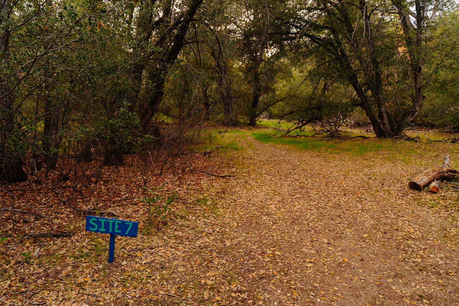 Loomerland Ranch and Retreat - Warner Springs, California - glamping.directory