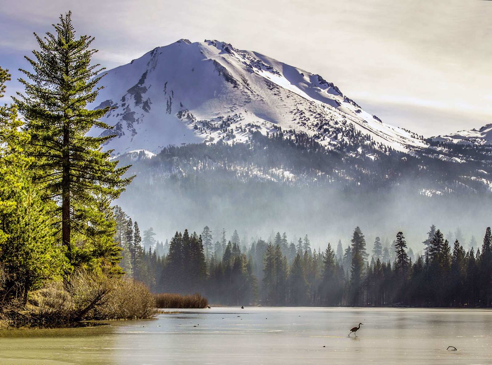 Camp Almanor at Big Springs - Lake Almanor, California - glamping.directory