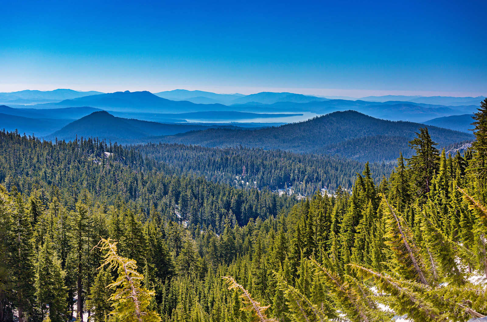 Camp Almanor at Big Springs - Lake Almanor, California - glamping.directory