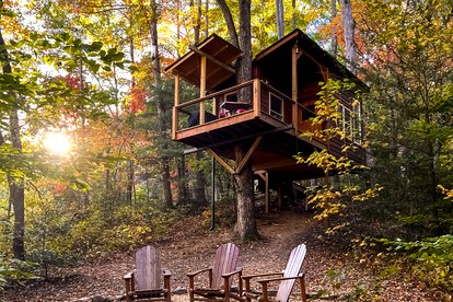 Dreamy Tree House Getaway for a Romantic Retreat - glamping.directory