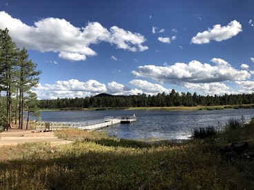 Incredible Log Cabin with Gorgeous Sights in Pinetop, Arizona - Pinetop, Arizona - glamping.directory