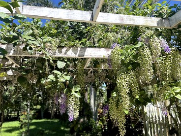 Cozy Cottage on a Tropical Fruit Farm for a Peaceful Escape near Homestead, Florida - Homestead, Florida - glamping.directory