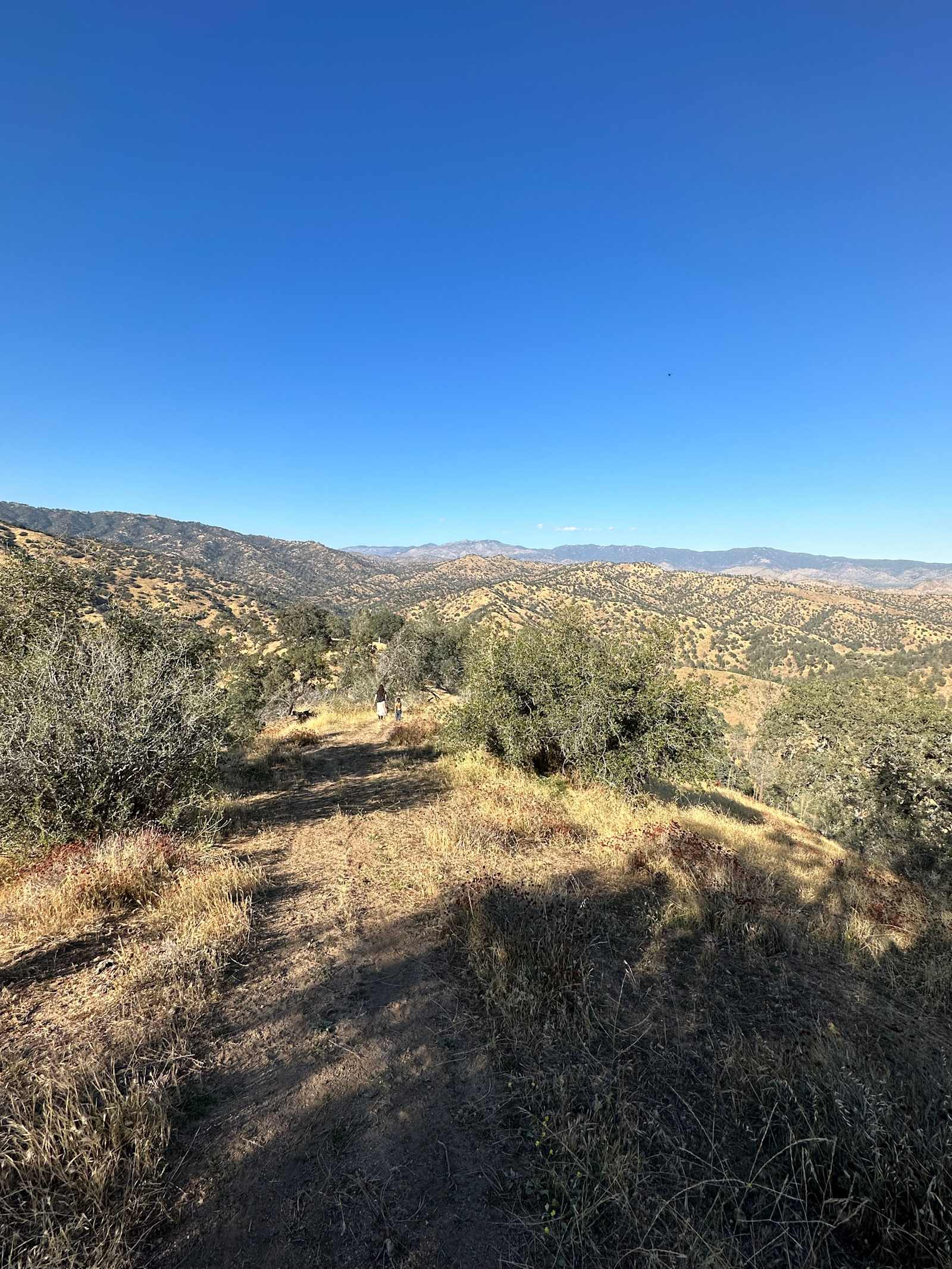 Bare All Retreat - Caliente, California - glamping.directory