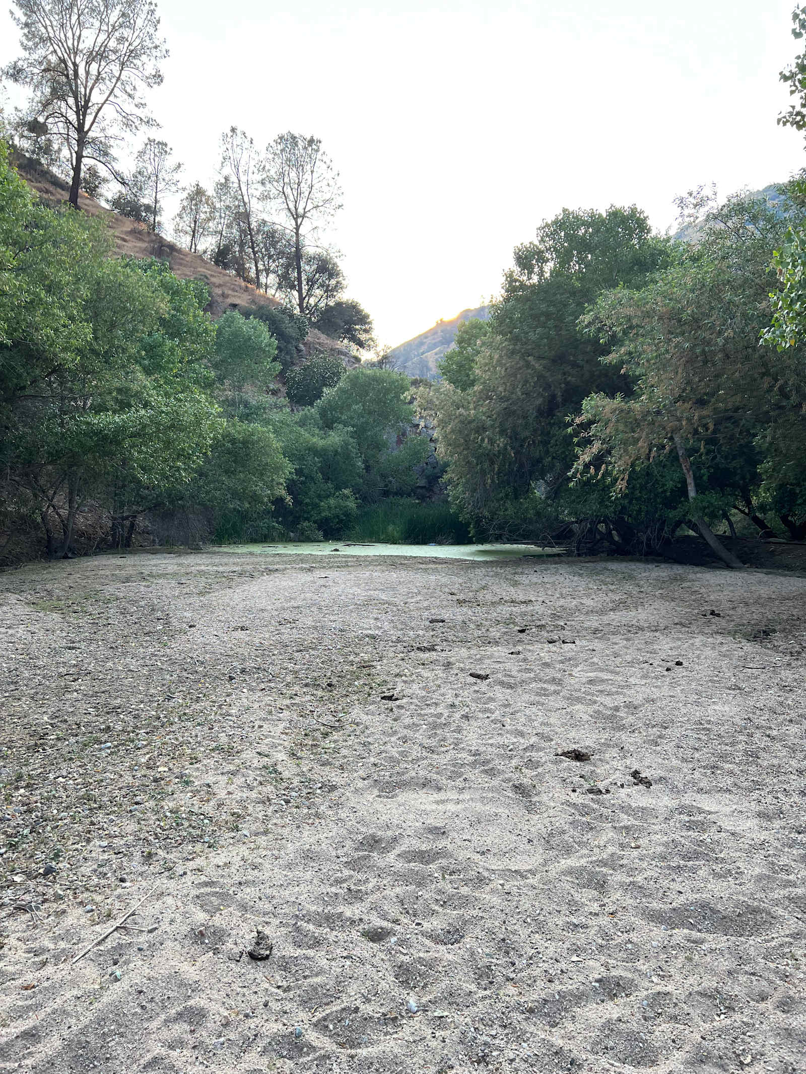 Bare All Retreat - Caliente, California - glamping.directory