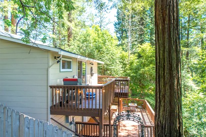 Pet-Friendly Camping Cabin in Northern California - Guerneville, California - glamping.directory