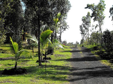 Unique Getaway at Rustic Log Cabin Bed and Breakfast in Hawaiian Acres, Hawaii - Keaau, Hawaii - glamping.directory