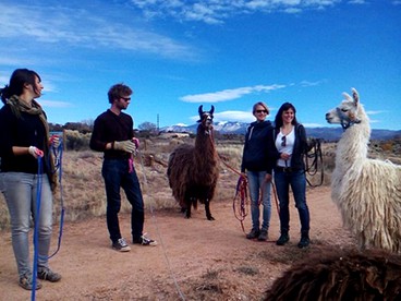Romantic and Quiet Campervan Rental For Two in New Mexico - Santa Fe, New Mexico - glamping.directory