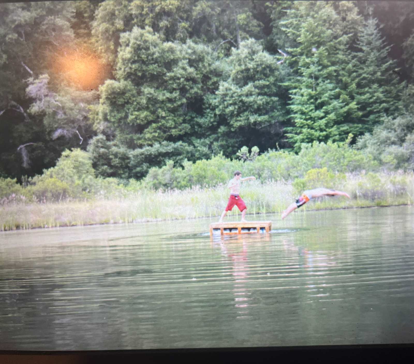 swimming sanctuary - glamping.directory