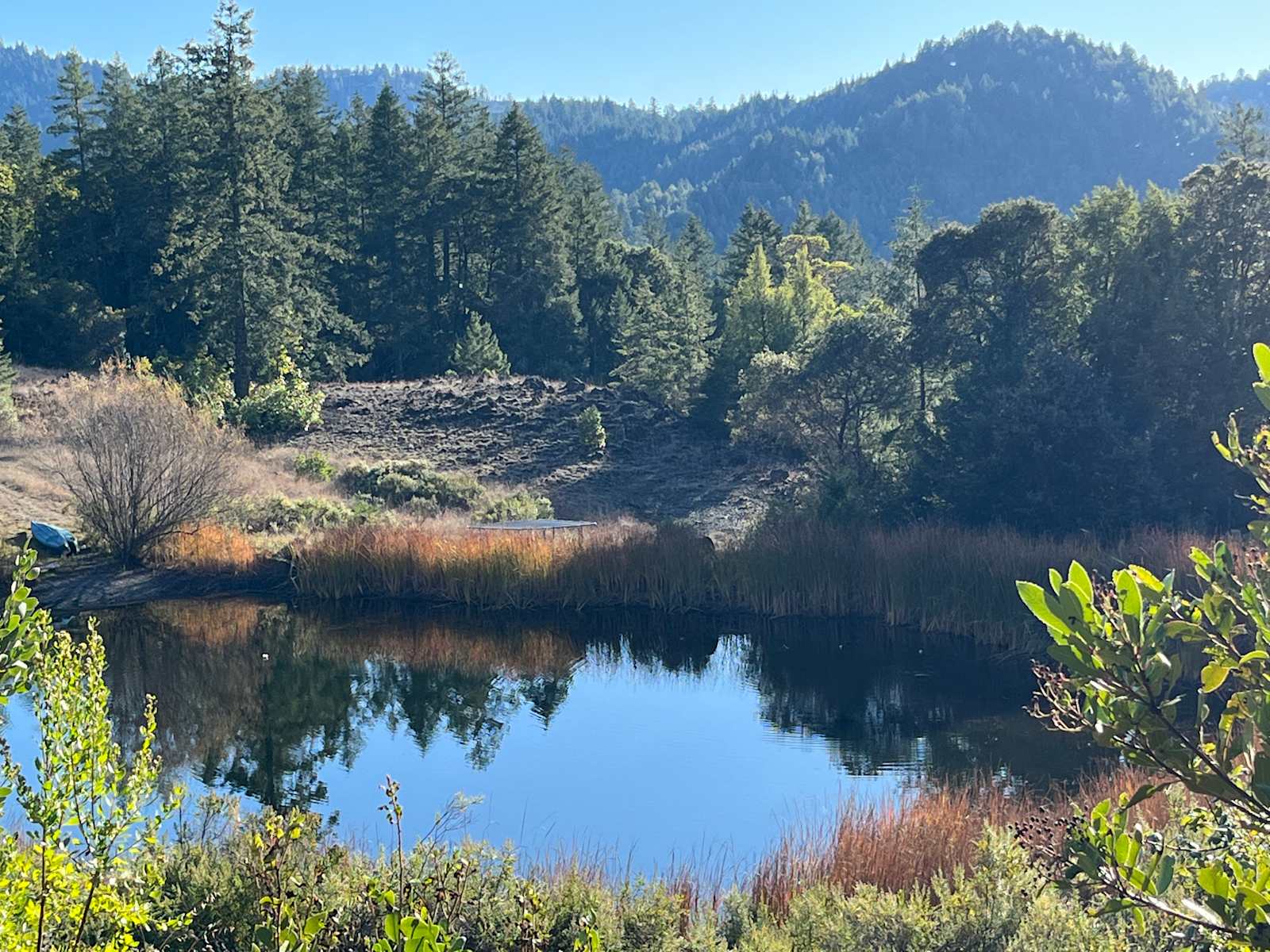 swimming sanctuary - Piercy, California - glamping.directory