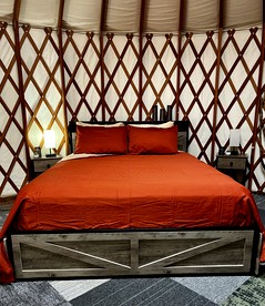 Incredible Equipped Yurt Amazing for a Glamping Experience in East Meredith, New York - East Meredith, New York - glamping.directory