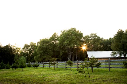Romantic Cabin Rental Overlooking Otter Creek in the Adirondacks of Upstate New York - Brantingham, New York - glamping.directory