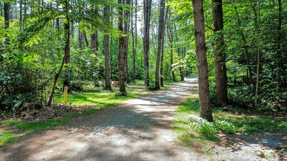 Luxury Group Safari Tent Complete with Firepit and Patio, Perfect for a Weekend Escape to the Adirondacks - Corinth, New York - glamping.directory