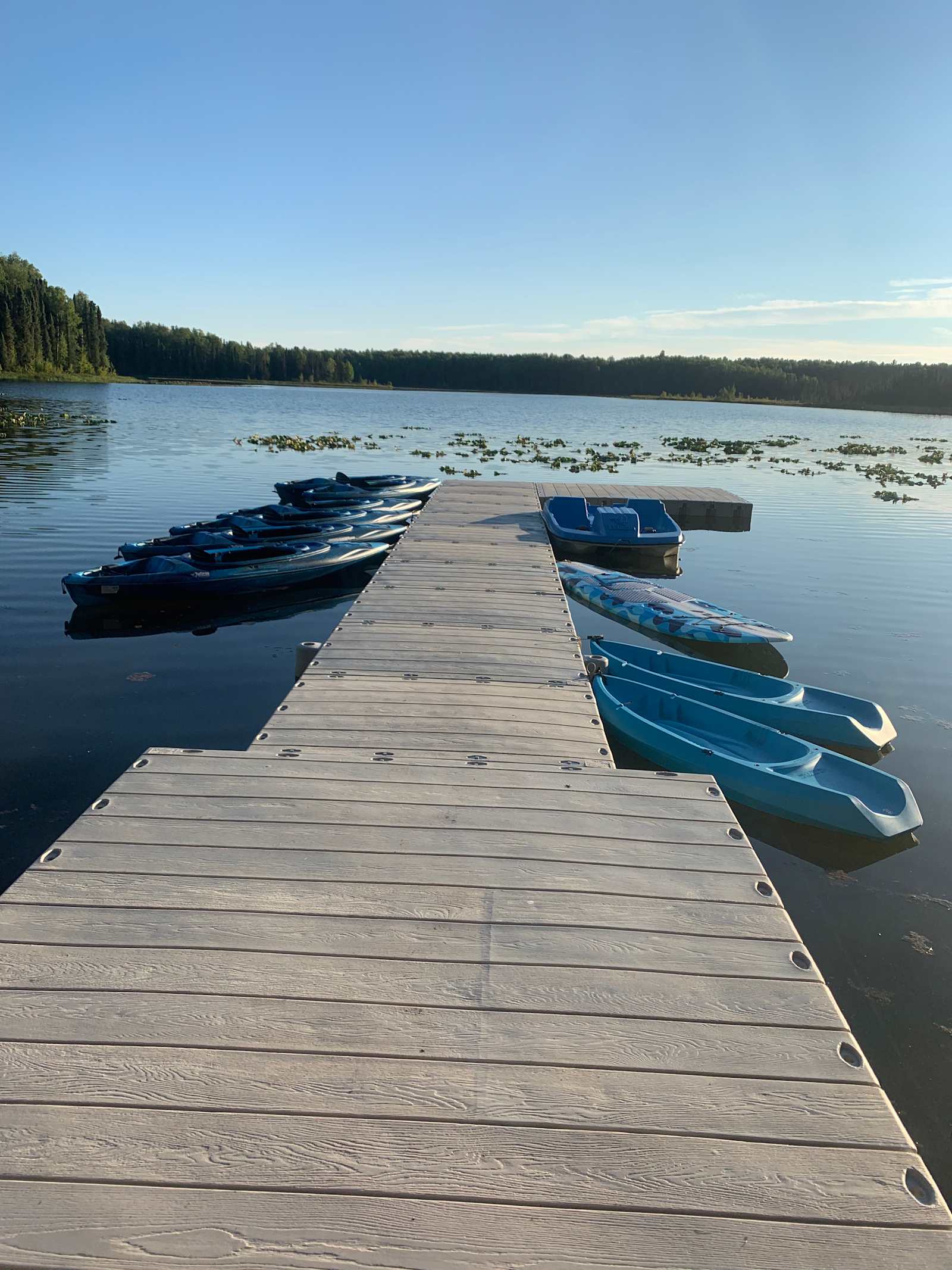 Talkeetna Lake Retreat - glamping.directory