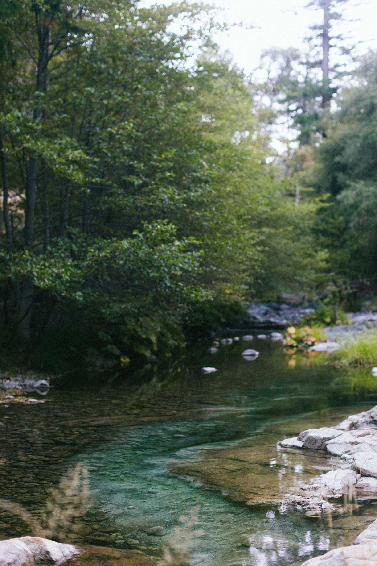 Trinity Outpost Wilderness Resort - 122.928142, California - glamping.directory