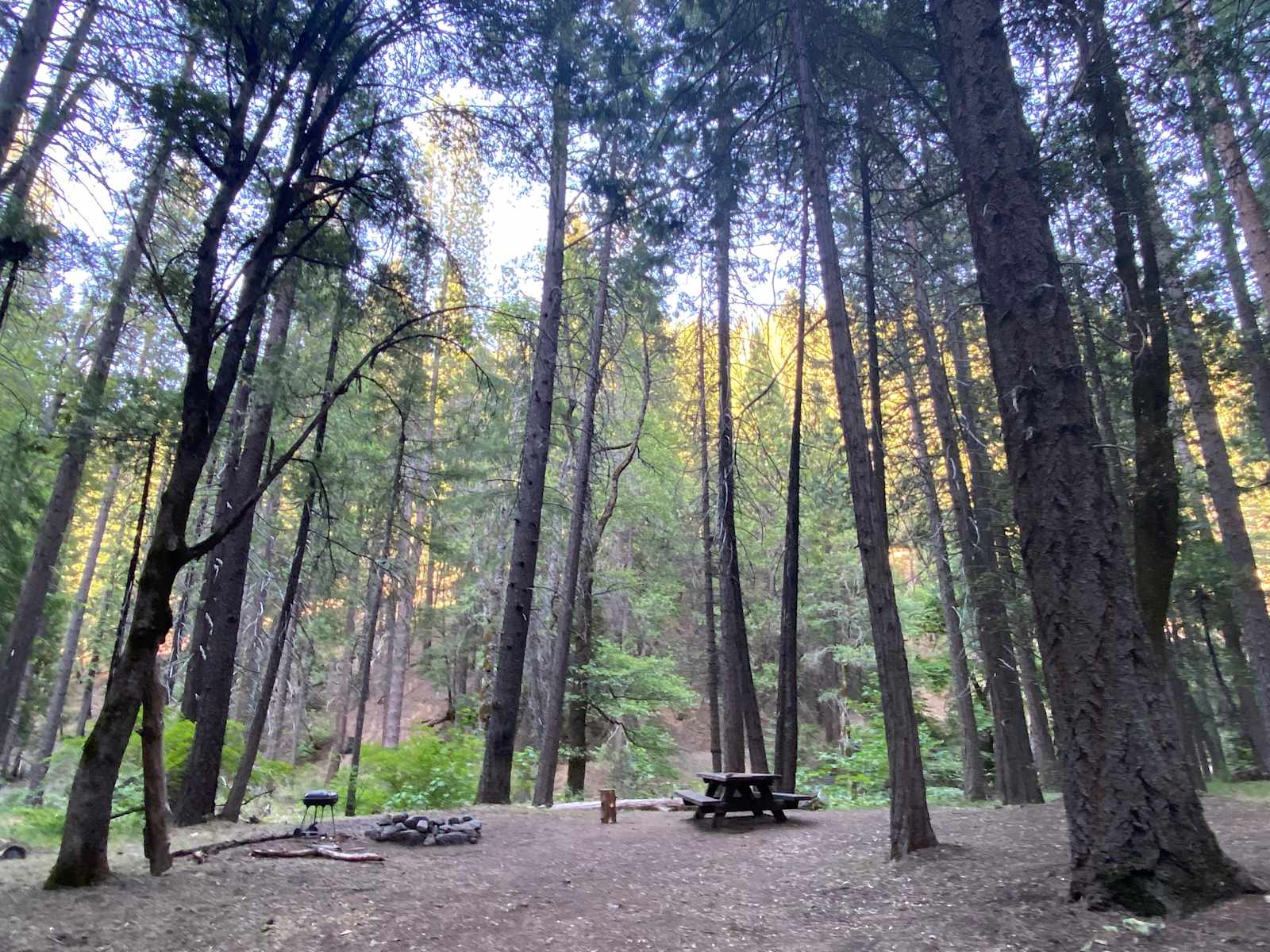 Trinity Outpost Wilderness Resort - 122.928142, California - glamping.directory