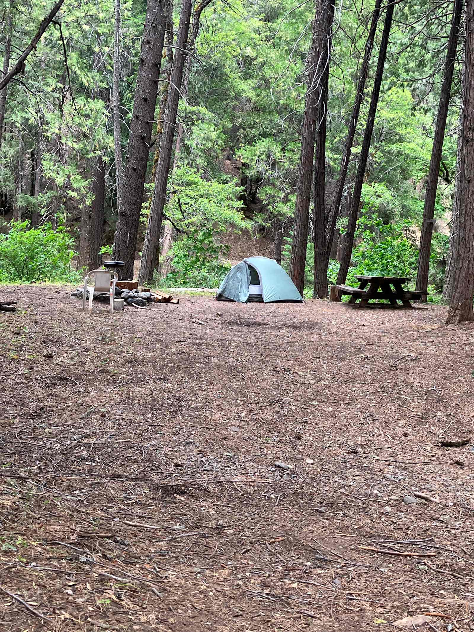 Trinity Outpost Wilderness Resort - 122.928142, California - glamping.directory