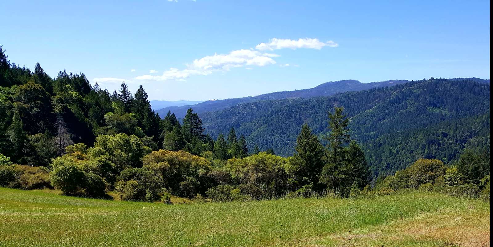 Skys Mountain Camp - Redwood Valley, California - glamping.directory