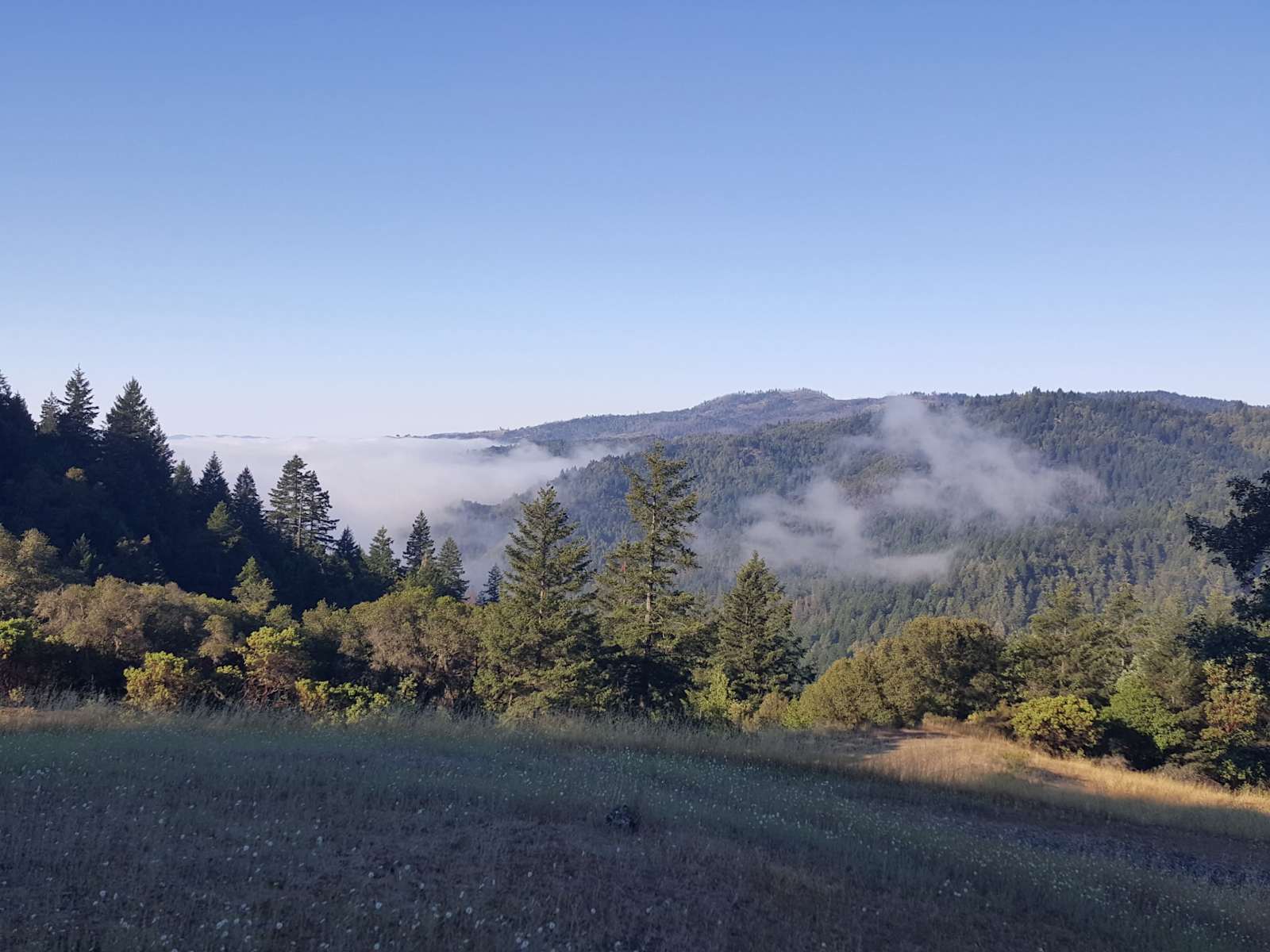 Skys Mountain Camp - Redwood Valley, California - glamping.directory