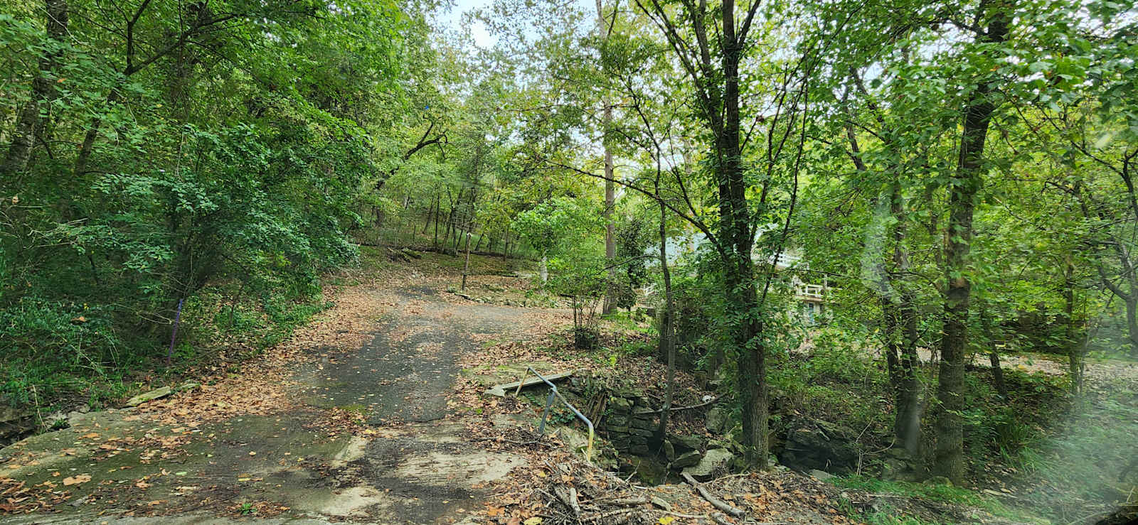 Starry Night in the Holler - Eureka Springs, Arkansas - glamping.directory