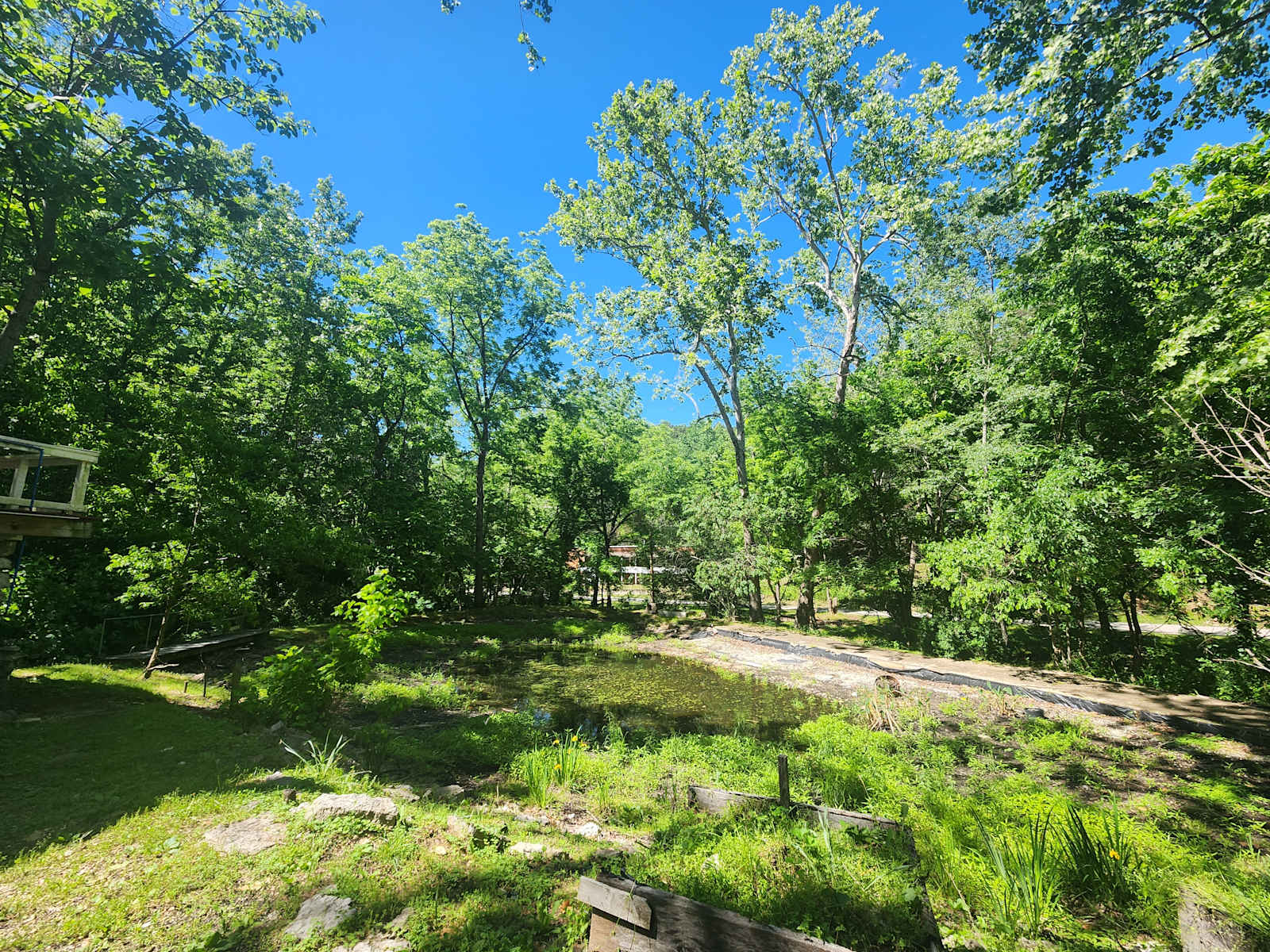 Starry Night in the Holler - Eureka Springs, Arkansas - glamping.directory