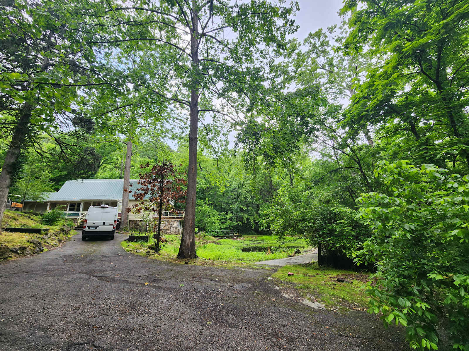 Starry Night in the Holler - glamping.directory