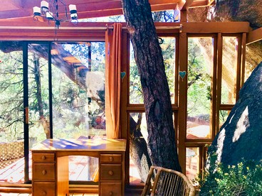 Rejuvenating Tree House Getaway with Pool Access in Prescott, Arizona - US, Arizona - glamping.directory