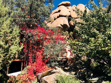 Rejuvenating Tree House Getaway with Pool Access in Prescott, Arizona - US, Arizona - glamping.directory