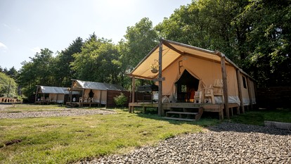 Pet-Friendly Safari Tents for Family Glamping near Olympic National Forest, WA - glamping.directory