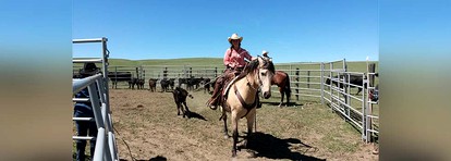 Secluded Ranch Getaway near the Yellowstone National Park, Montana - Pryor, Montana - glamping.directory