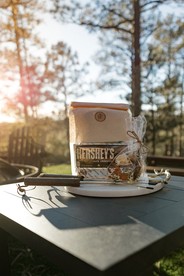 Charming Sunset-View Mountain Cabin with Unique Gothic Décor near Fool Hollow Lake in Show Low, Arizona - Show Low, Arizona - glamping.directory