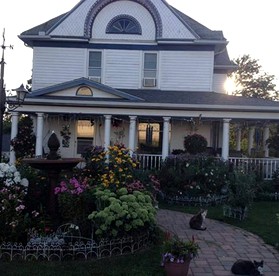 Rustic Room Rental in Lovely Bed and Breakfast near Lanesboro, Minnesota - Lanesboro, Minnesota - glamping.directory