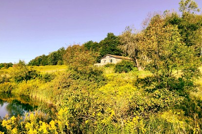 Peaceful Cabin Retreat with Mountain Views & Private Acreage in Hamden, New York - Hamden, New York - glamping.directory