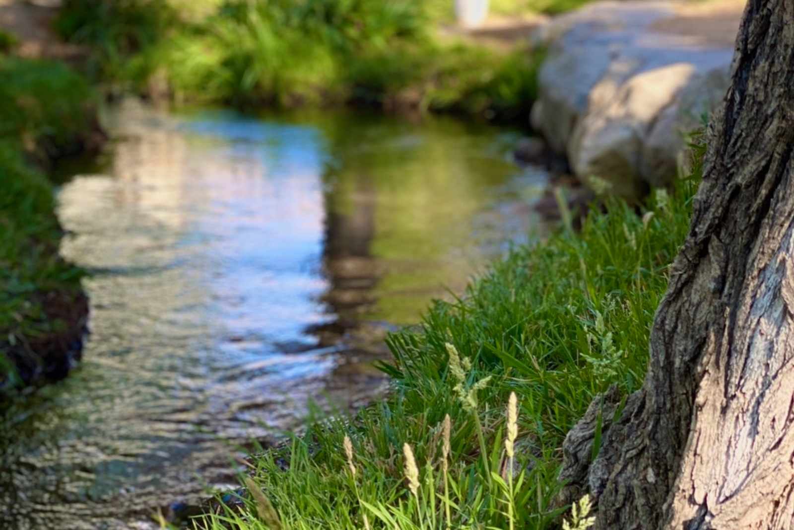 Aberdeen Resort - Independence, California - glamping.directory