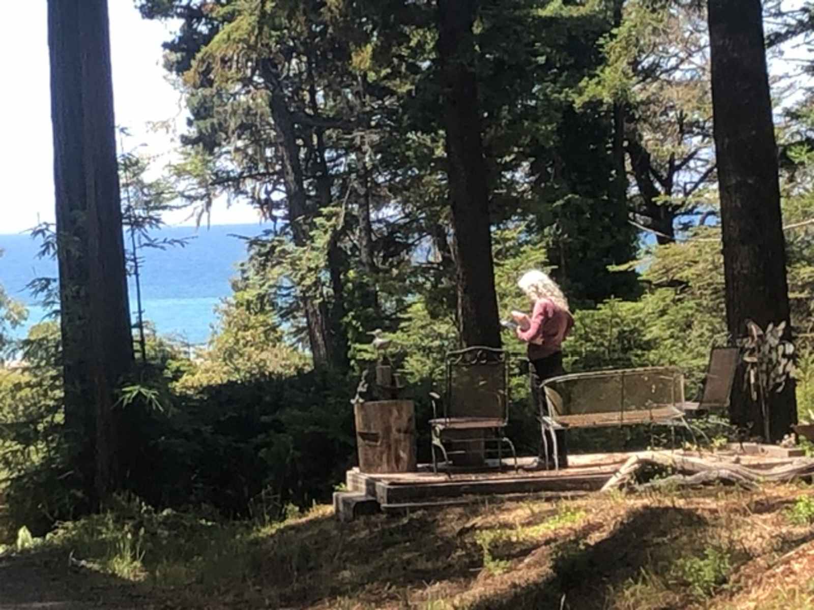 Essene Acres of Gualala Ocean View - Gualala, California - glamping.directory