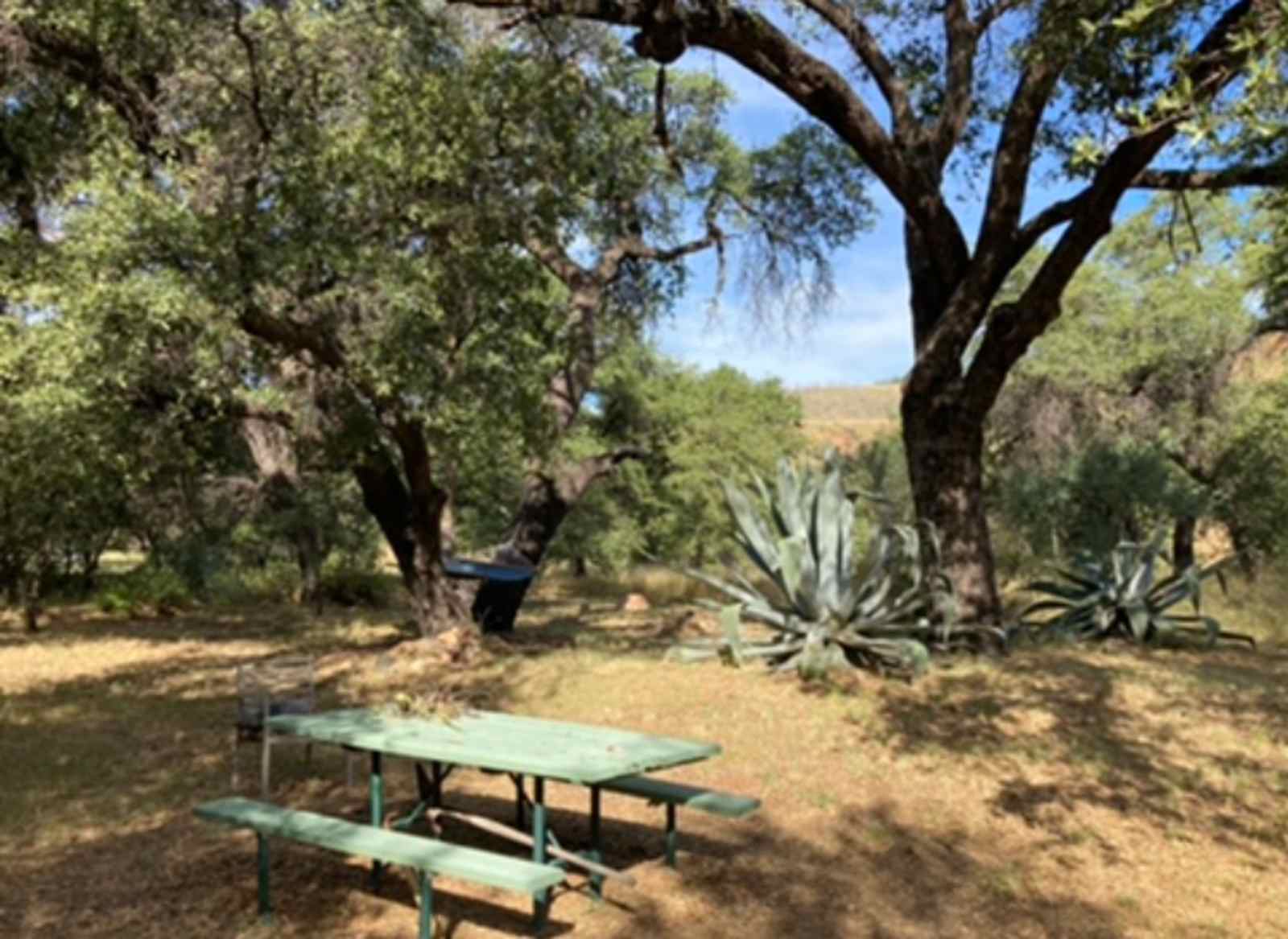 Thousand Oaks - Patagonia, Arizona - glamping.directory