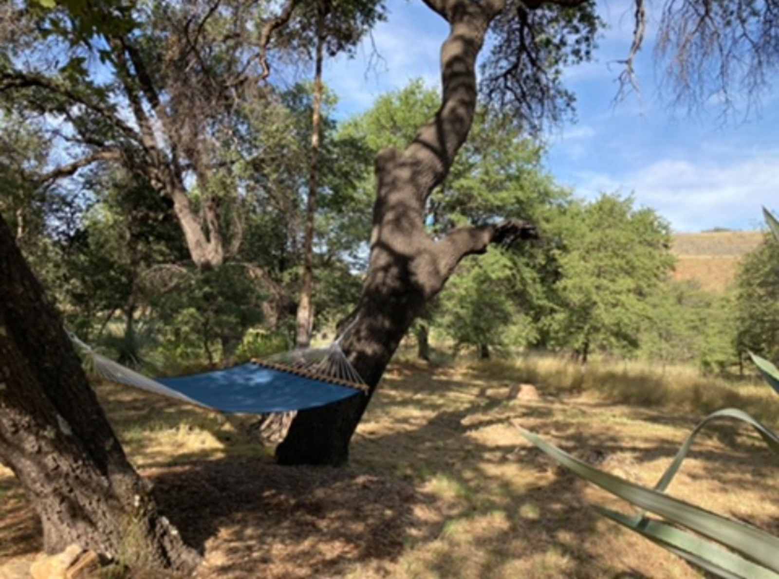 Thousand Oaks - Patagonia, Arizona - glamping.directory