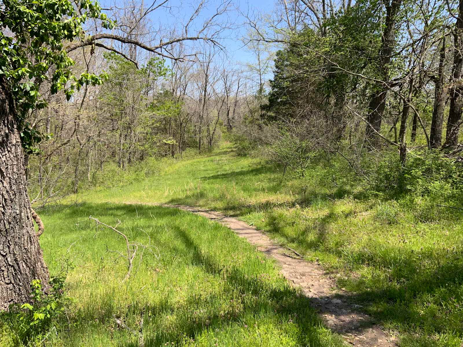 The Boondock at Hand Cut Hollow - Bentonville, Arkansas - glamping.directory