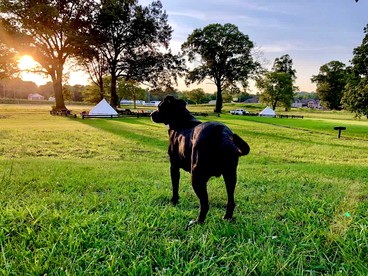 Rustic Farmhouse Stay with Country Breakfast & Private Bath near Old Hickory Lake – Gallatin, Tennessee - glamping.directory