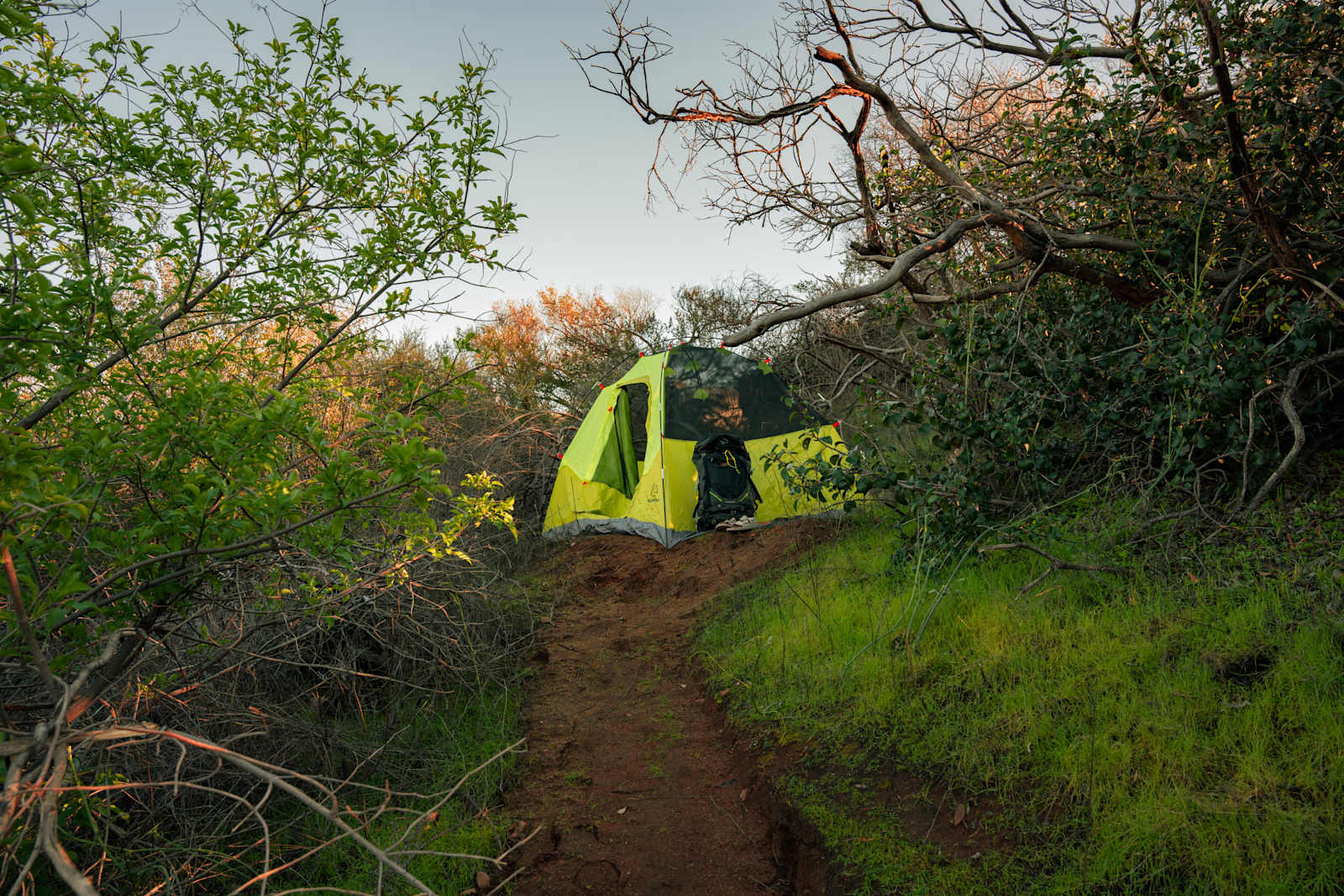 AntFarm LA - La Crescenta Montrose, California - glamping.directory