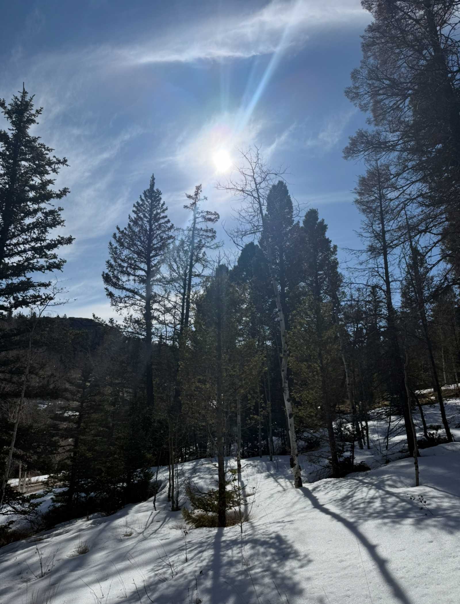 Camp Eagle Rock - Florissant, Colorado - glamping.directory
