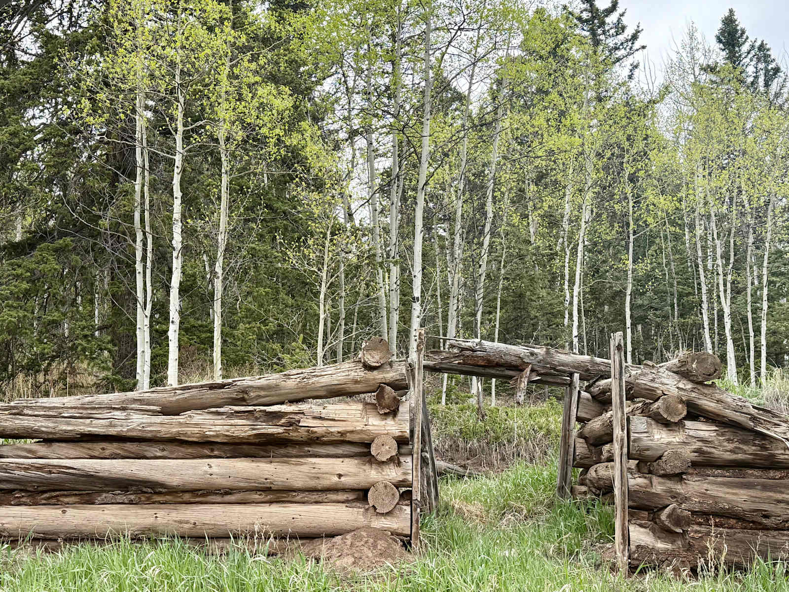 Camp Eagle Rock - glamping.directory