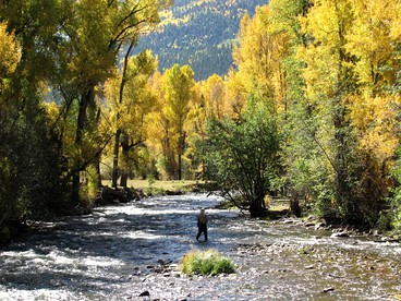 Rustic Cabin Rental on Conejos River in San Juan Wilderness, Colorado - Antonito, Colorado - glamping.directory