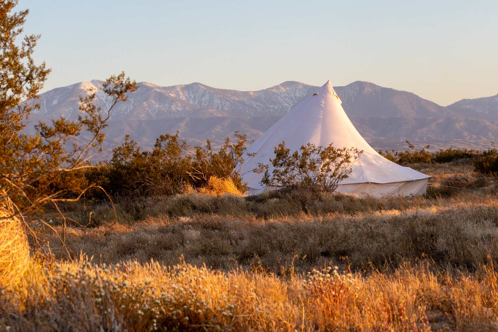 New Yurt City - Lake Los Angeles, California - glamping.directory
