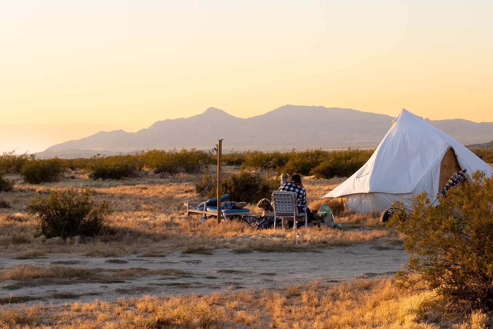 New Yurt City - glamping.directory