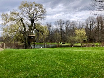 Tented Cabin in Manchester, Michigan, Perfect for a Yoga Retreat - Manchester, Michigan - glamping.directory