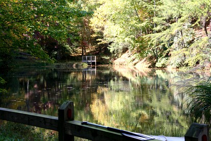 Upscale Mountain Cabin Overlooking Picturesque Pond, North Carolina - Horse Shoe, North Carolina - glamping.directory