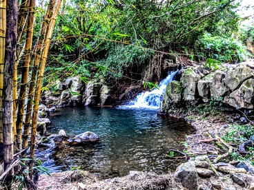 Stunning Cabin Rental near the Waipio Valley, Hawaii - Pepeekeo, Hawaii - glamping.directory