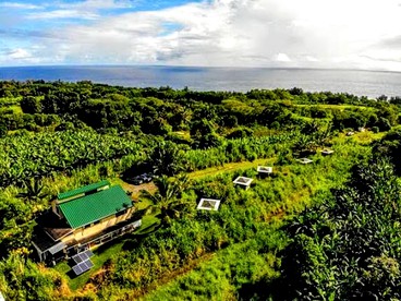 Stunning Cabin Rental near the Waipio Valley, Hawaii - glamping.directory